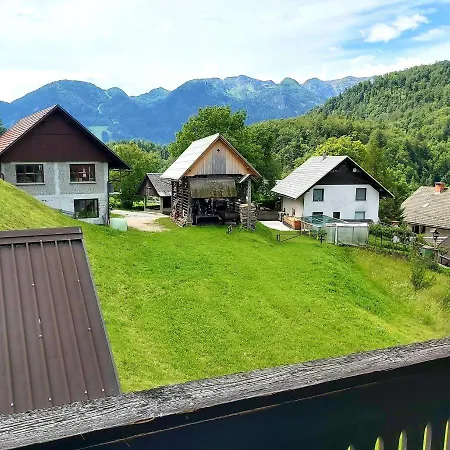 Alpine Village * Bohinj